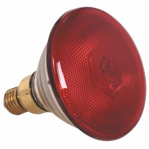 Recambio Lámparas 175 Rojo